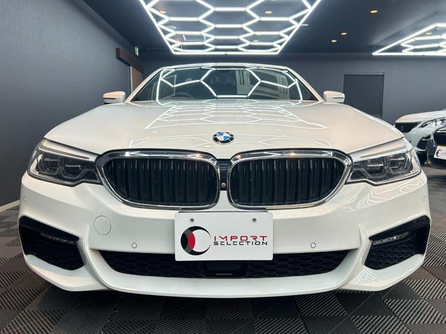 BMW 5 SERIES 523D M-SPORT HI-LINE PACKAGE