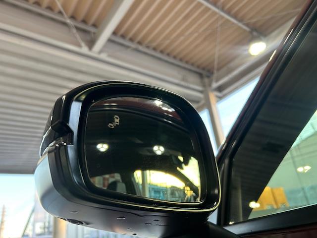 HONDA ZR-V E:HEV Z SPECIAL EDITION BLACK STYLE
